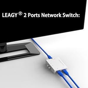 LEAGY 2 Port Network switch